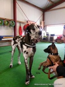 1-11129776 907810282595208 6321298095511882126 n