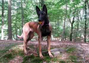 1-11141318 10200924096822473 64693796062616073 o