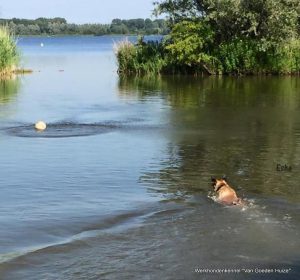 1-11141329 887541814649810 259613109032535797 n