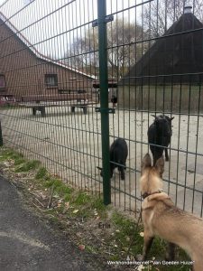 1-11149263 907810165928553 286786682981547838 n