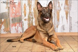 1-11150233 922624771123592 5770467509105763726 n