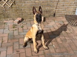 1-11150658 1654800458082331 1308434266825494364 n