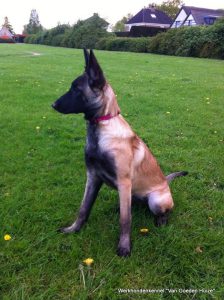 1-11151049 879416328788305 764402630114484404 n