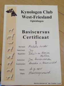 1-11174934 10205422621777213 8055403549735796600 n (1)