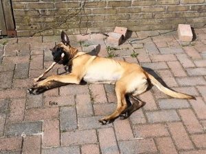 1-11188482 1654800481415662 7169147687070254099 n