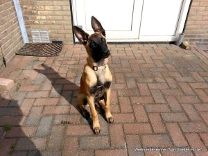 1-11209445 1654800504748993 6163390052600275488 n