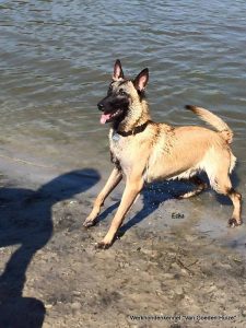 1-11224690 887541847983140 3001697505357809806 n