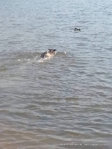 1-11227038 897307466999191 2953052016545729014 n