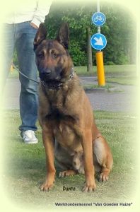 1-11264033 748789698575403 5344887963087315434 n-001