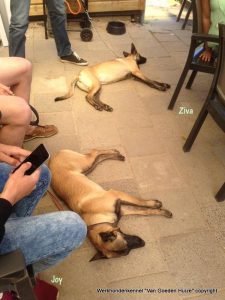 1-11266703 10205131386816521 7387938804880569834 n