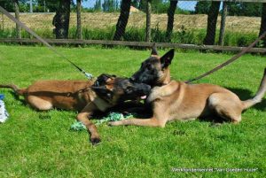 1-11391557 803476246433970 4597148350756925594 n