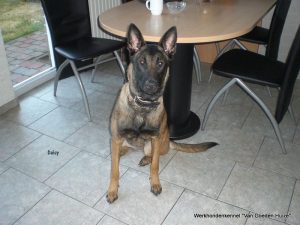 1-11402753 10200924052901375 7690933938272588144 o