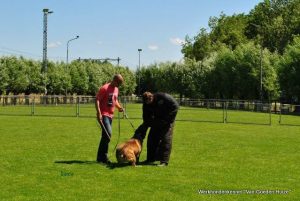 1-11406980 803476393100622 303906190049237600 n