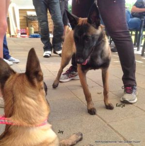 1-11407238 10205135492439159 499385900425955407 n