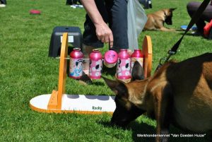 1-11412305 803476916433903 2840211054027294326 n