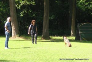 1-11417795 10200967307062702 2058681550161671151 o