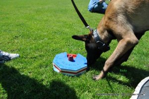 1-11426508 803477116433883 3507648314861642461 n