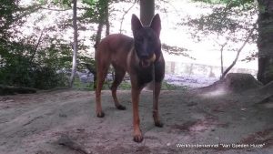 1-11426792 10200924104542666 8822816179134126069 o