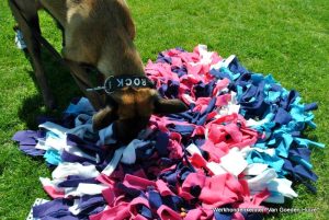 1-11427163 803477376433857 5278871571250949450 n