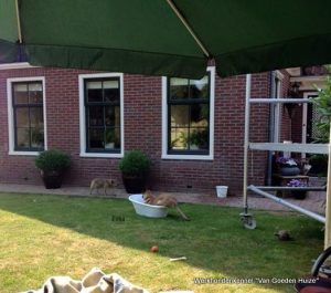 1-11700878 871453642925294 7539984970674308363 n