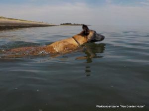 1-11717480 831667703614824 2081432380012312768 o