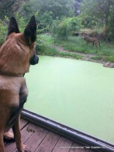 1-11791656 1687599248135785 1422432611 n