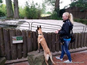 1-11793410 1687599748135735 937856383 n