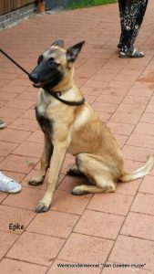 1-11798543 1687600878135622 1055362816 n