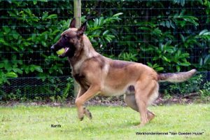 1-11802637 971211856264883 3536006978564363922 o