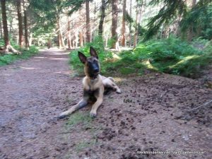 1-11806819 1687599158135794 1623391420 o