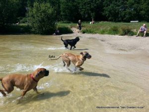 1-11822205 1687594864802890 920425236 o