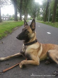 1-11823787 958462067530029 1903390573 n