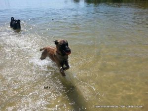 1-11827135 1687594871469556 1262182955 o