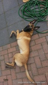 1-11830807 1687599414802435 1541811040 n