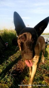 1-11898934 938286492901288 2674611573362762751 n