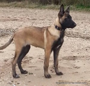 1-13274 907810129261890 5872593093808329387 n