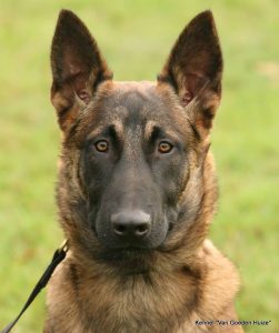 1-1377045 822628061123264 5451264426072564697 n