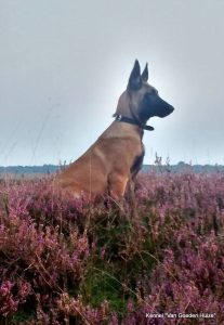 1-14223 1523425531228252 1800163568701990111 n