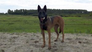 1-14500551 10202541746382701 1784377320928791371 o