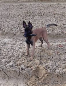 1-14563530 1020144511447271 8872630049529556917 n