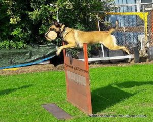 1-14595717 197360760695255 4567134144140043340 n