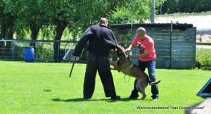 1-1459848 803476403100621 5122769259590860175 n