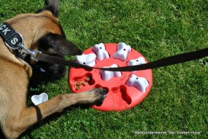 1-1467193 803477143100547 6885213573089744355 n