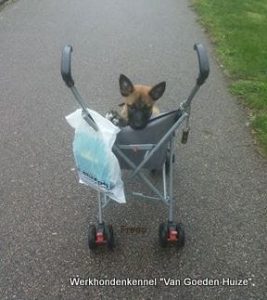 1-14702290 1386719498024857 8529083267632275778 n