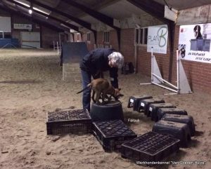 1-14915716 1329556717088621 7510778691735491621 n