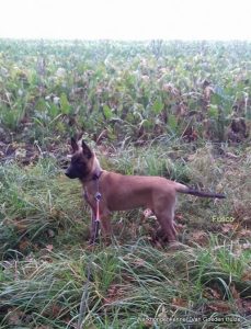 1-14947539 1176635782431246 1521383782170269642 n