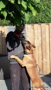 1-1512575 758226114249504 7100883279696535477 n