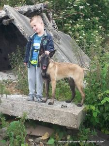 1-1554482 907439359319335 1278310741836930434 n