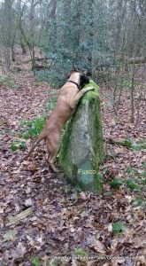 1-15697788 1227296864031804 8974807518543154501 n