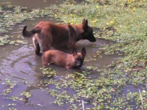 1-1907720 773410702711667 8332656069737719542 n